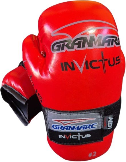Protectores Invictus Gran Marc Profesionales Taekwondo Itf